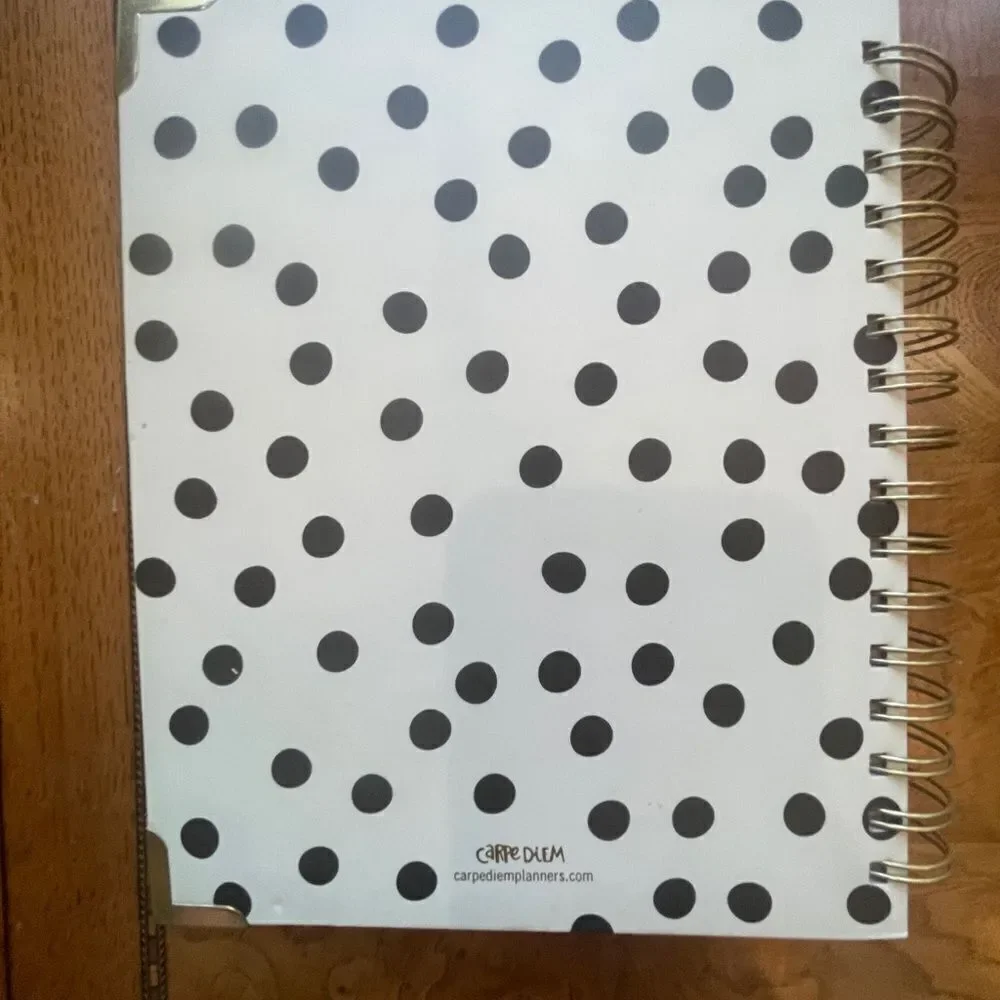 Carpe Diem Planner - Start Now!